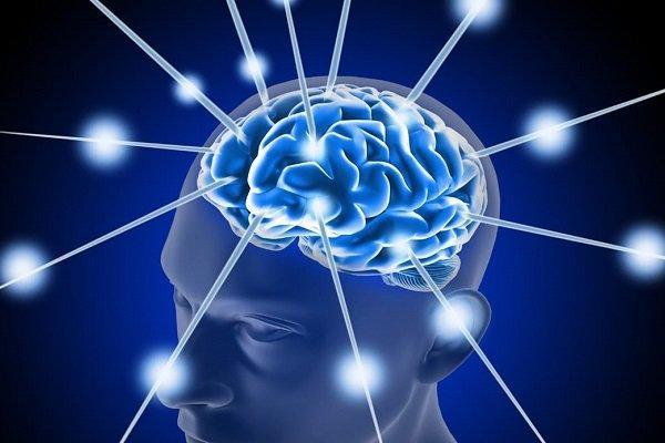 بانک اطلاعات تجهیزات شناختی ایجاد می شود بانک اطلاعات تجهیزات شناختی ایجاد می گردد