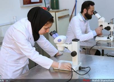آنالیز طرح سنتز نانوکاتالیست های مرتبط با آلودگی هوا به همت پژوهشگران اسفراینی خبرنگاران