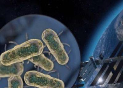 آیا میکروب ها از فضا به زمین می آیند؟