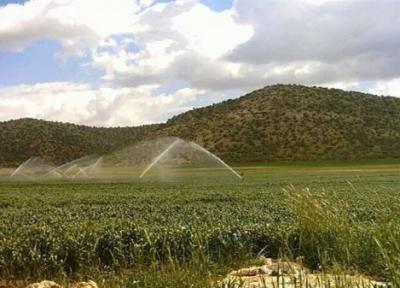 کاهش مصرف آب و بهبود عملکرد محصول با روش های نوین آبیاری