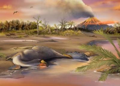 کشف اسرار دایناسورها با آنالیز غضروف های فسیل شده!