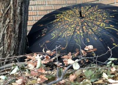 نقاشیخط کاران جوان دنیای رنگارنگ پاییز را بر روی چتر های تیره بازنمایی کردند
