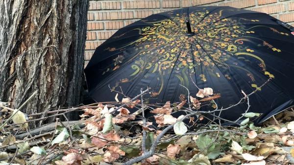نقاشیخط کاران جوان دنیای رنگارنگ پاییز را بر روی چتر های تیره بازنمایی کردند